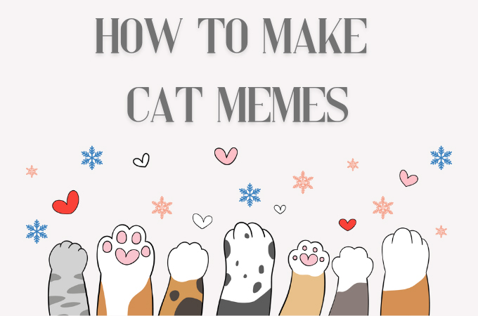 featured image cat meme