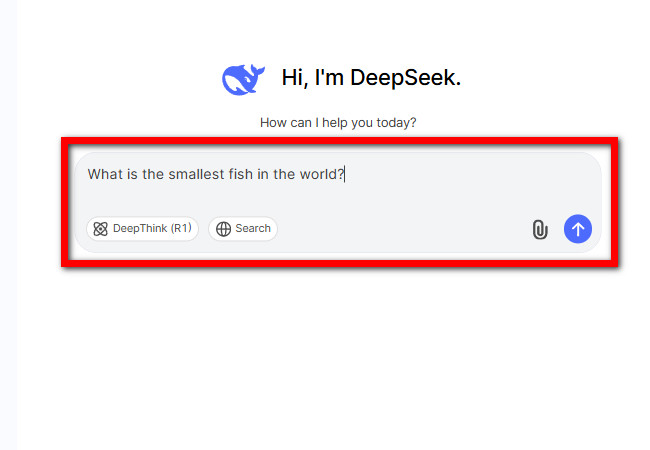 enter a message or prompt on deepseek