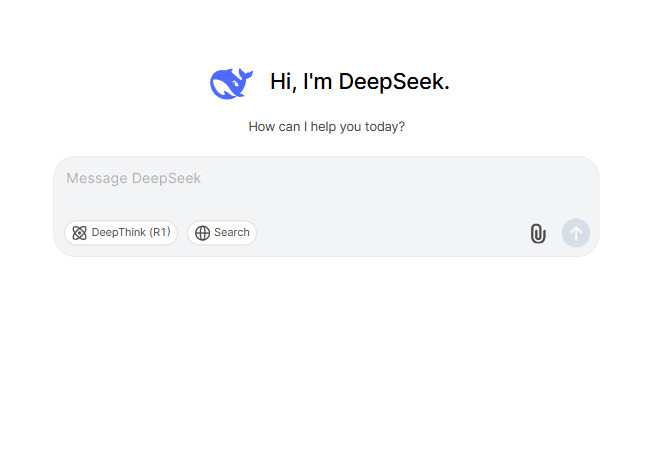 deepseek-interface.jpg