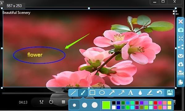 screenshot Windows Media Player