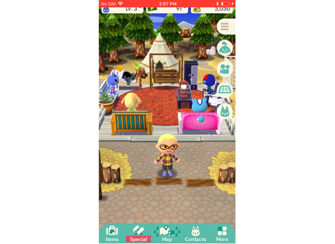 enregistrer pocket camp sur ios11