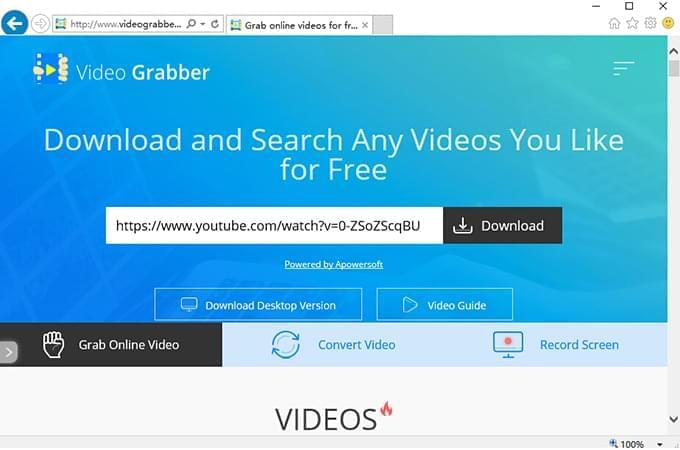 IE-video-grabber