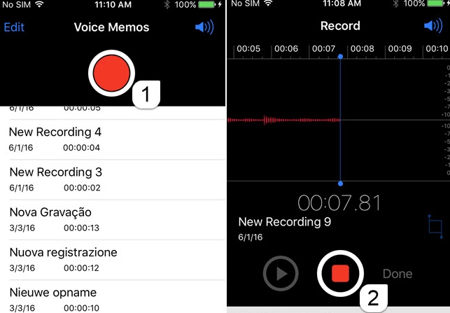 Record, pause voice recording